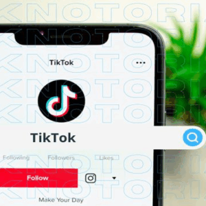 tiktok indonesia