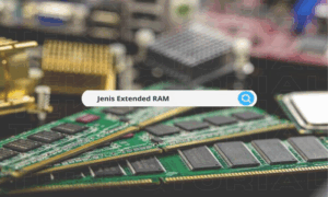 jenis extended ram
